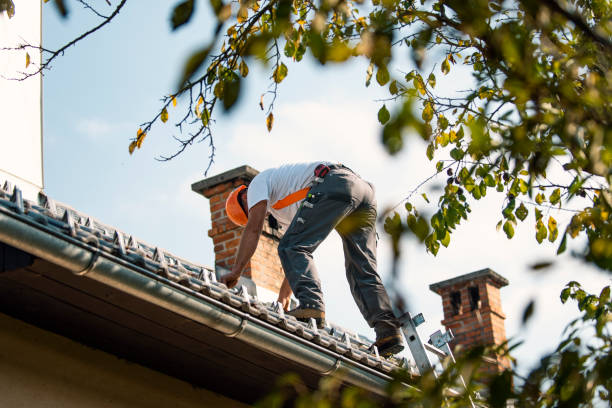 Roof Gutter Cleaning in Itasca, IL